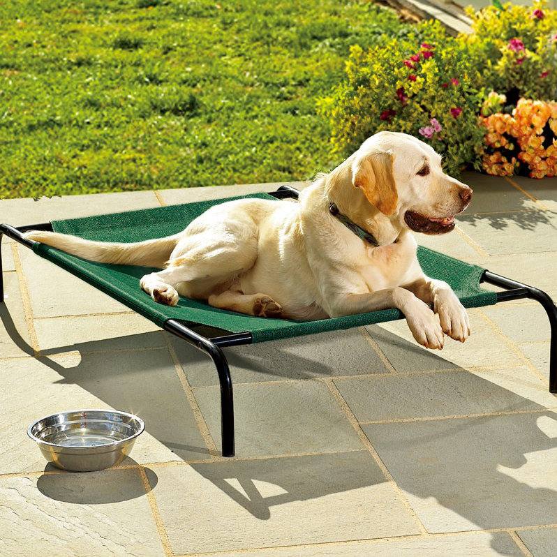 Plow & Hearth Large WeatherResistant Raised Mesh Pet Bed Replacement Mesh Cover Wayfair